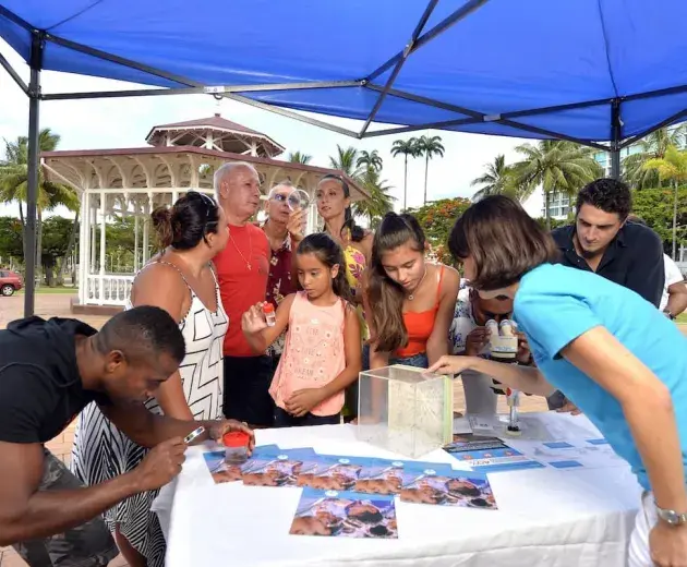 New Cal_WMP staff show local residents aedes aegypti mosquitoes and their larvae 