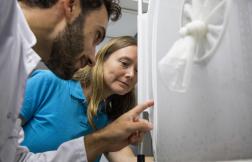 Parts of a whole: The many partners tackling dengue in New Caledonia 