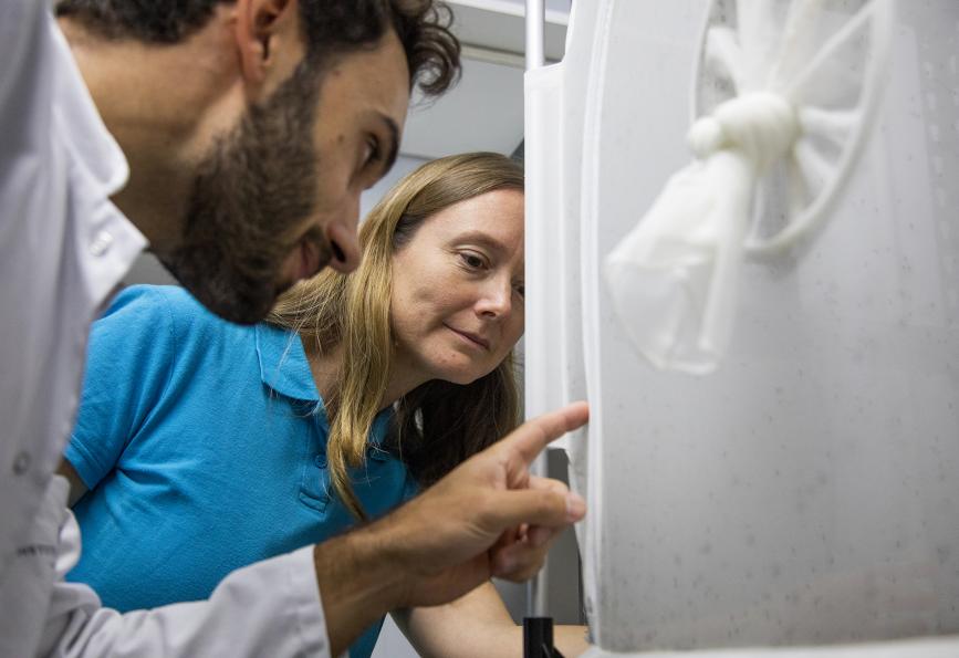 Hugo Bernard of Institut Pasteur and Nadege Rossi of WMP