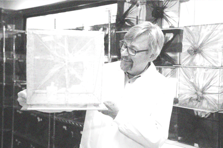 Scott O’Neill starts working on <i>Wolbachia</i> and dengue Scott O’Neill starts working on <i>Wolbachia</i> and dengue