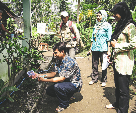 Brazil and Indonesia release their first <i>Wolbachia</i> mosquitoes Brazil and Indonesia release their first <i>Wolbachia</i> mosquitoes