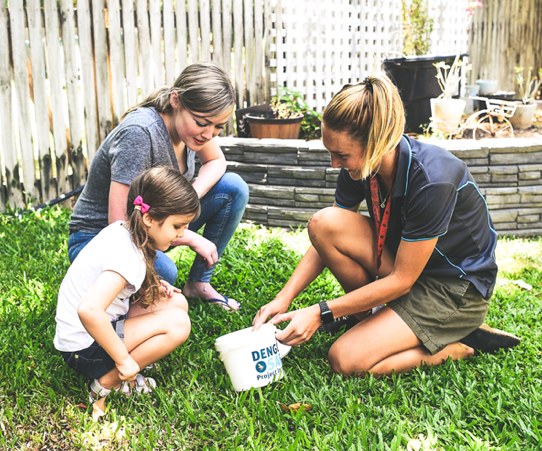Brasil, Indonesia, Vietnam, Australia y Colombia anuncian más liberaciones. Brasil, Indonesia, Vietnam, Australia y Colombia anuncian más liberaciones.