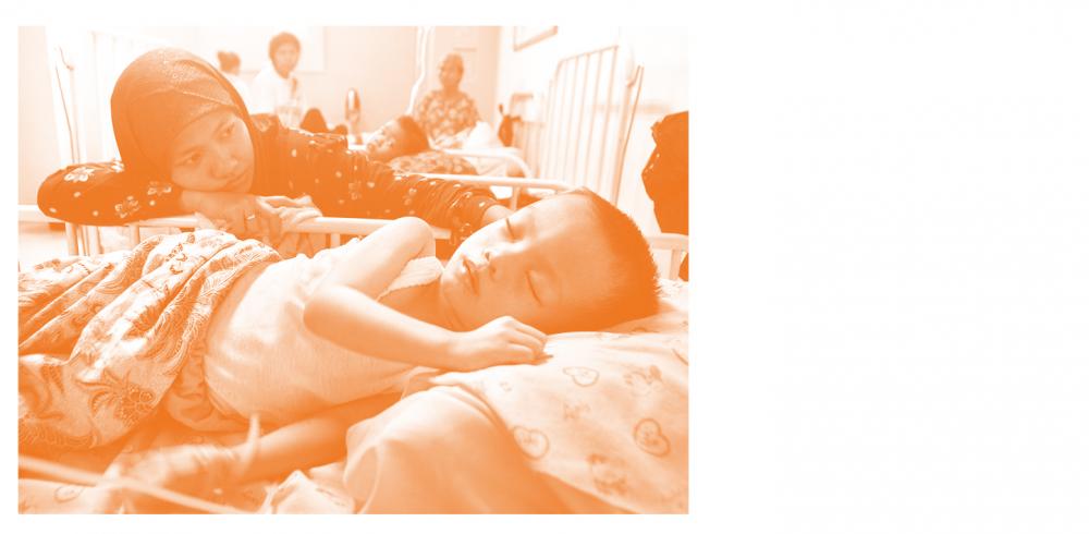 The <i>Wolbachia</i> method can fight yellow fever The <i>Wolbachia</i> method can fight yellow fever